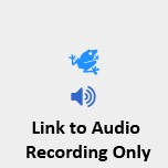 Eleutherodactylus cystignathoides (Eleutherodactylus cystignathoides)